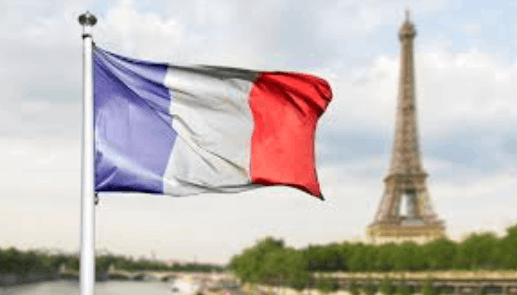 francia darwyn rosales