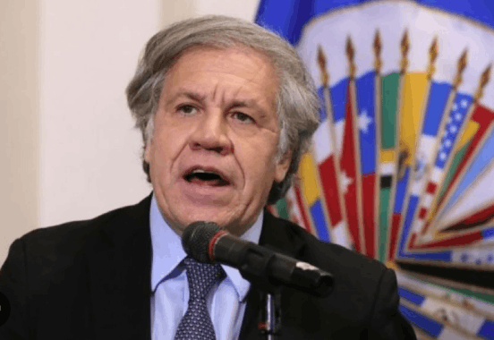 luis almagro darwyn rosales