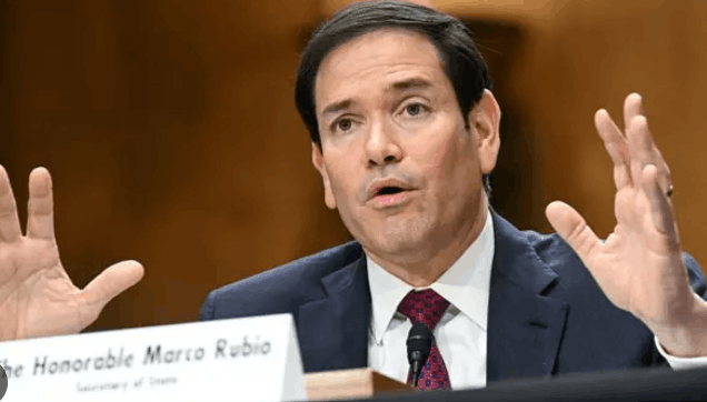 marco rubio venezuela va bien darwyn rosales