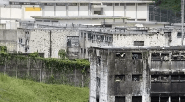 el rodeo I darwyn rosales