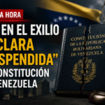 tsj en el exilio suspende la constitucion darwyn rosales