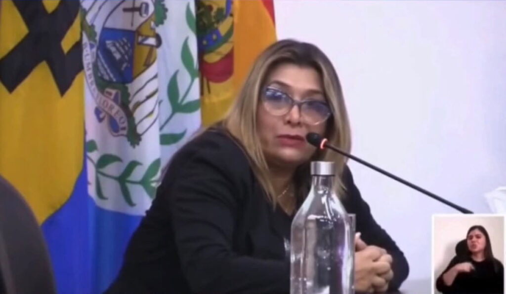 Del Valle Canelon ante la CPI sobre hechos del 11 de abril darwyn rosales